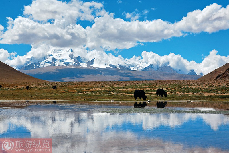 �Дzɽ�p֮��    ׫�����zӰ/������